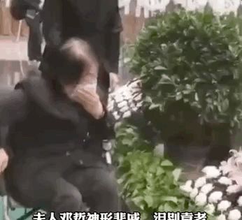 夫人坐轮椅泪别袁隆平,这世上又少了一个深情的男人休闲区蓝鸢梦想 - Www.slyday.coM 夫人坐轮椅泪别袁隆平,这世上又少了一个深情的男人休闲区蓝鸢梦想 - Www.slyday.coM