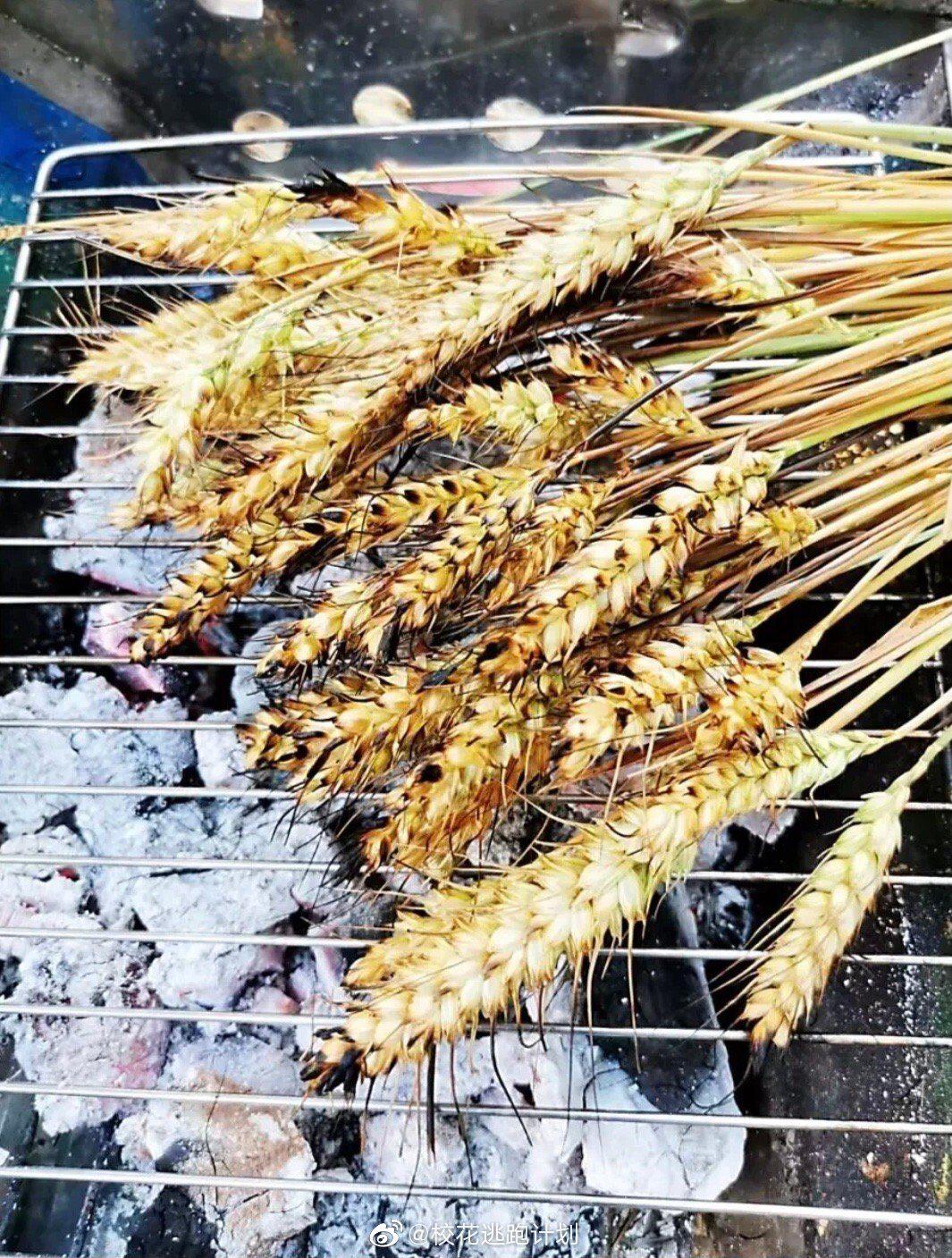 吃过烤麦子的举手