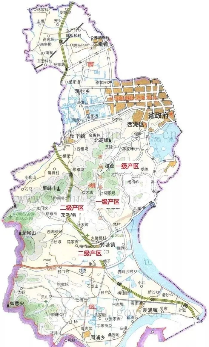 不是所有的龙井茶都叫西湖龙井还有三大产区五大字号你知道