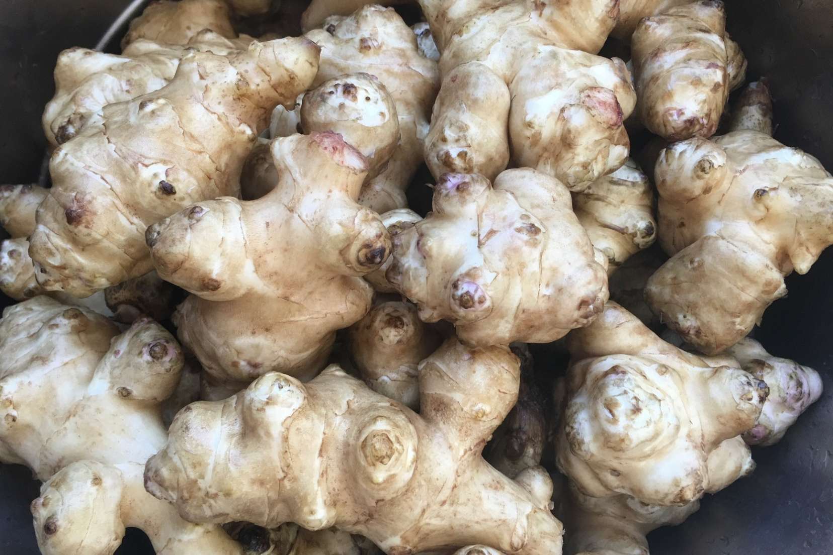 第一是根据它的外形,地下结出的果实,很像生姜,第二是从国外引进的