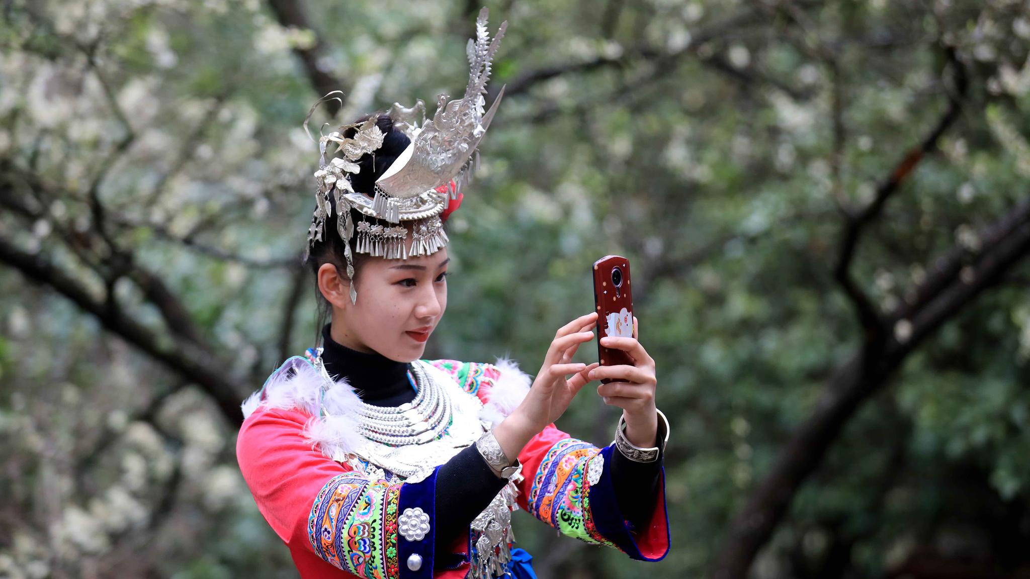 在融安县东起乡铜板屯,一名苗族姑娘用手机拍摄李花盛开美景(2021年3