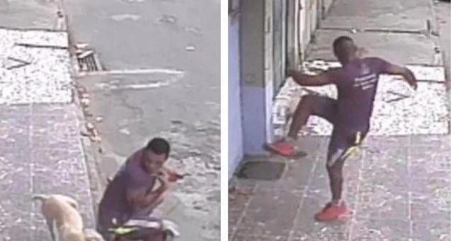 男子坐在路边玩手机，被狗误认为消防栓尿一身，网友笑了休闲区蓝鸢梦想 - Www.slyday.coM