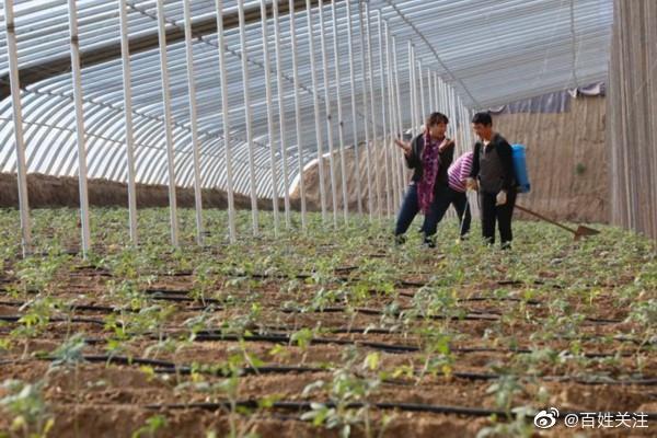 南大博士放弃200万年薪回村养蚯蚓,把蚯蚓变成千万级企业!休闲区蓝鸢梦想 - Www.slyday.coM 南大博士放弃200万年薪回村养蚯蚓,把蚯蚓变成千万级企业!休闲区蓝鸢梦想 - Www.slyday.coM