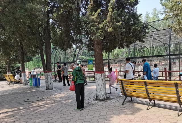 保定笔记:保定动物园|人民公园|园林|动物园_新浪新闻