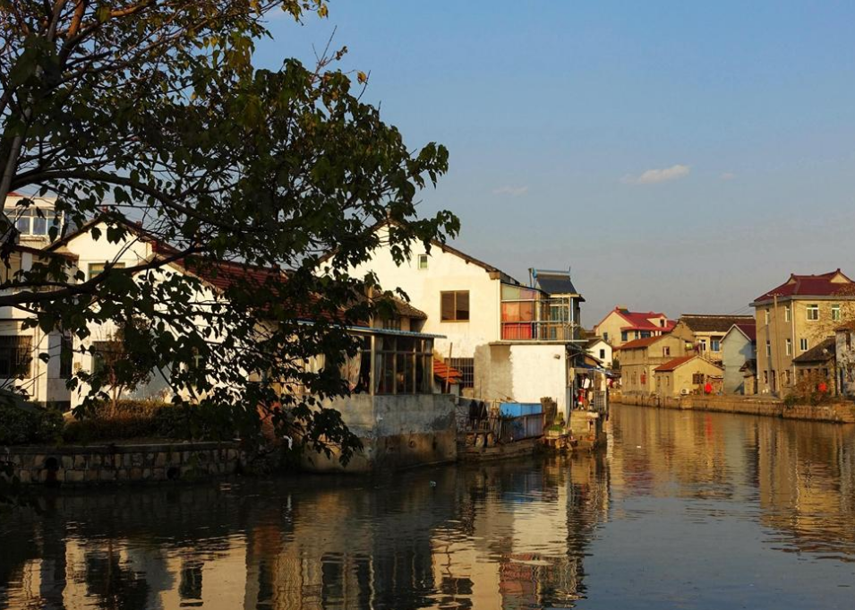 藏在上海的千年古镇,原生态古韵十足,免费开放的"拍照圣地"