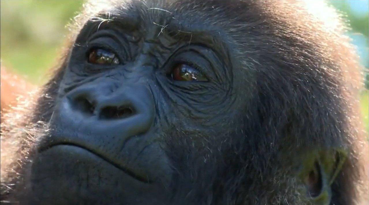 好友还家 sending a good friend back home