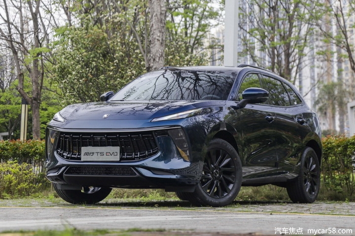 据此前消息显示,东风风行劲狮标寓意着"自信无畏,勇猛向前",盾牌的