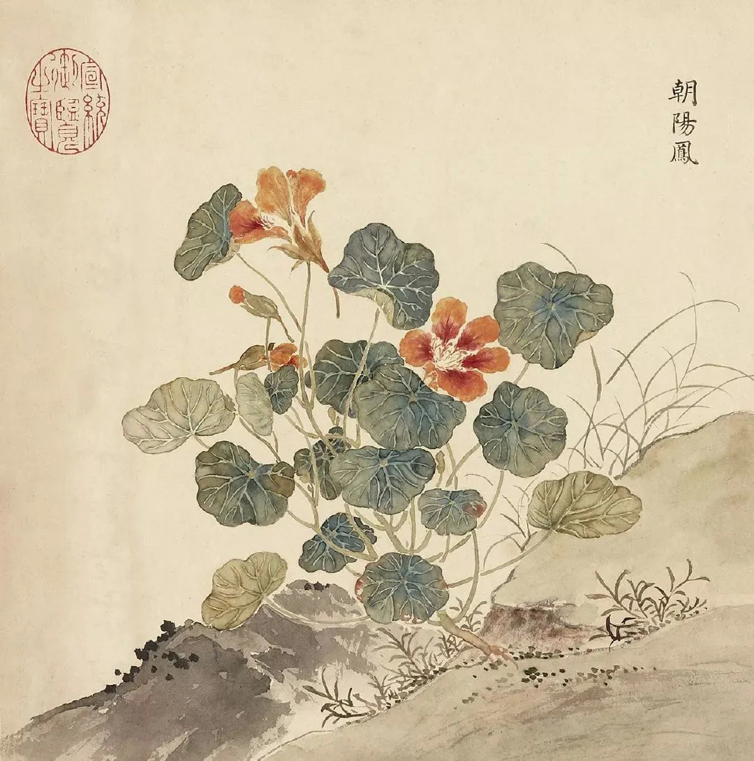 《寓兴:花木的图像史》跟随故宫专家品读古画中的一花一木