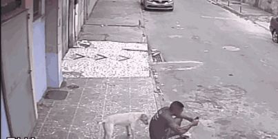 男子坐在路边玩手机，被狗误认为消防栓尿一身，网友笑了休闲区蓝鸢梦想 - Www.slyday.coM