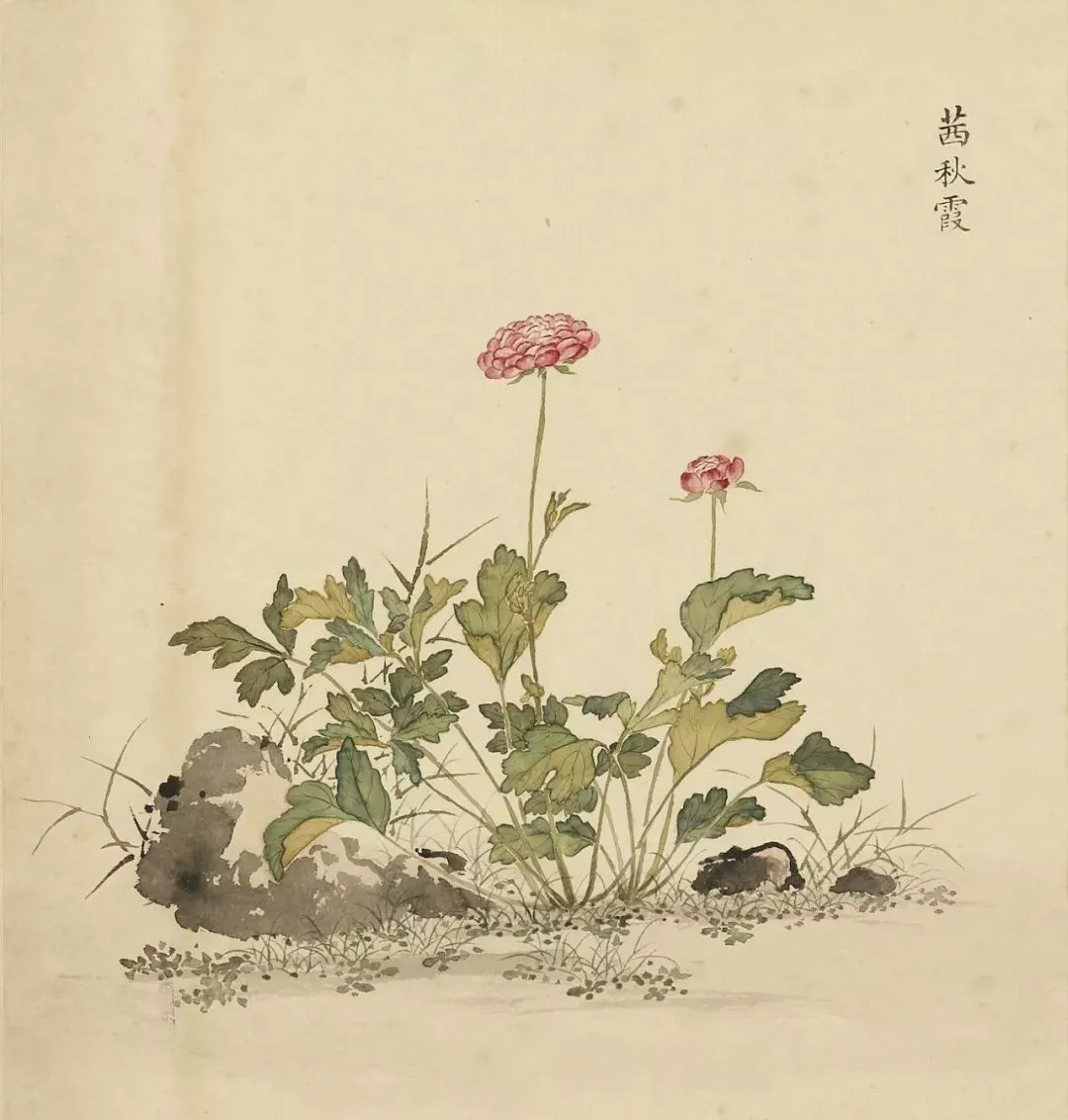 寓兴花木的图像史跟随故宫专家品读古画中的一花一木