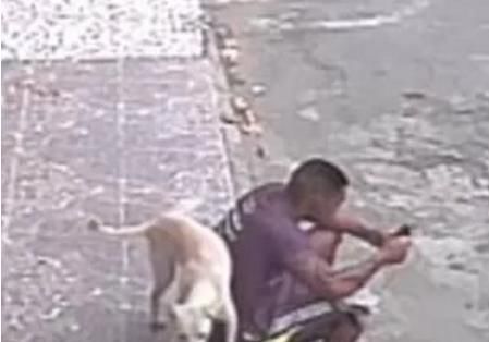 男子坐在路边玩手机，被狗误认为消防栓尿一身，网友笑了休闲区蓝鸢梦想 - Www.slyday.coM