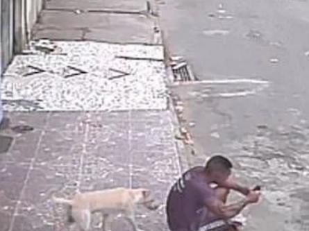 男子坐在路边玩手机，被狗误认为消防栓尿一身，网友笑了休闲区蓝鸢梦想 - Www.slyday.coM