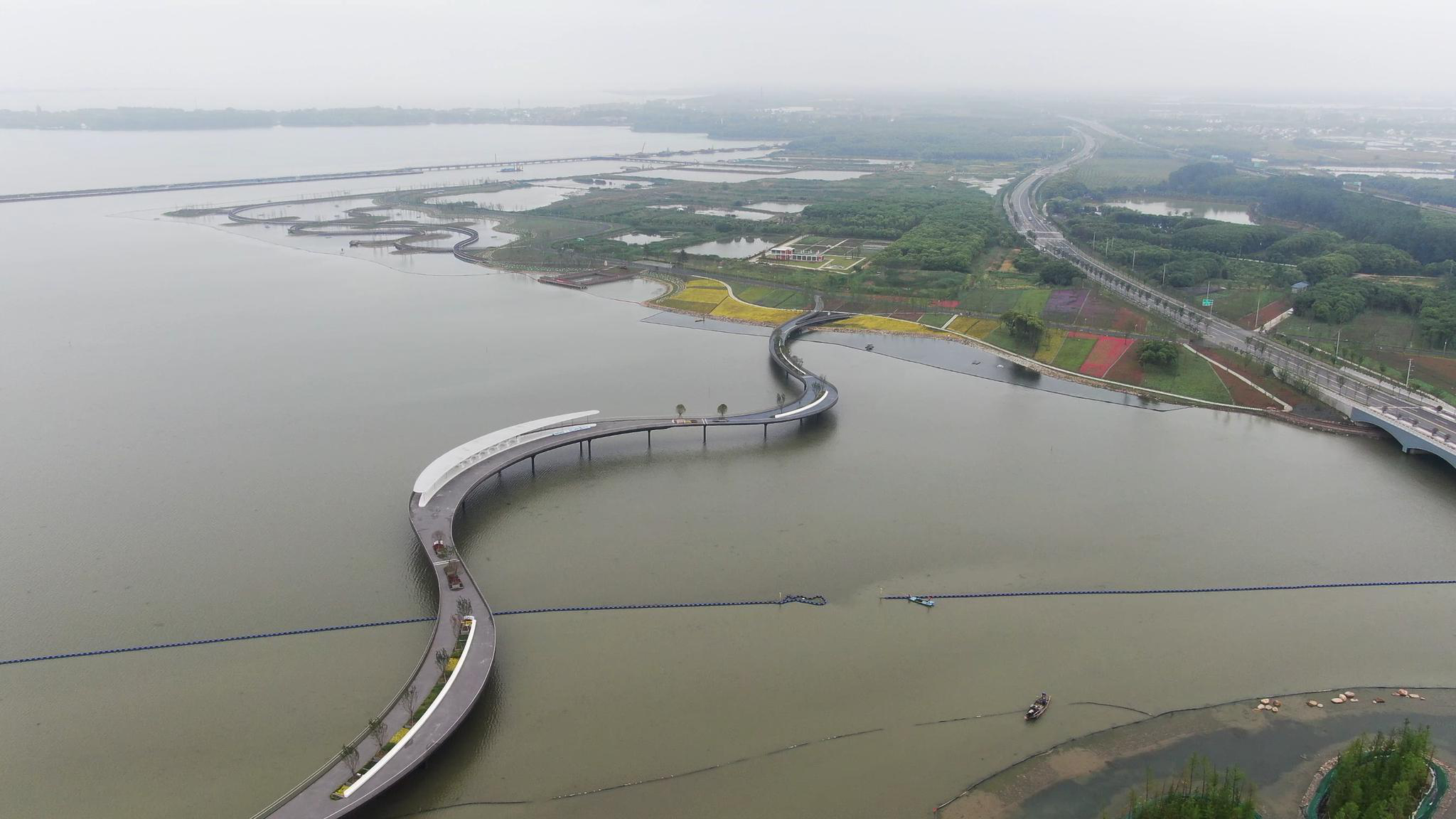 元荡湖.交汇点记者 余勤雍 摄