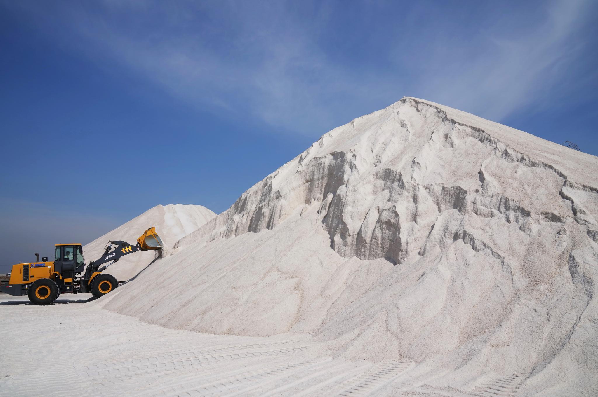 时下,正值河北省唐山市长芦大清河盐场春盐收获时节,工人利用晴好