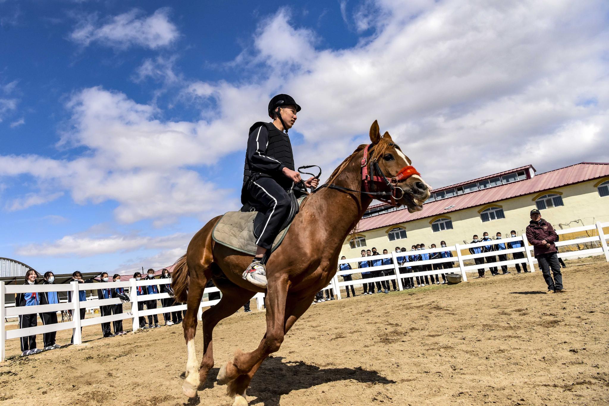 那就想得太简单啦春风里的快乐在马场冬雪一来快乐就立马转战到雪场那