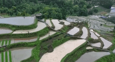 美国：加州圣何塞发生枪击事件 八人遇害——美国今年以来已发生232起大规模枪击休闲区蓝鸢梦想 - Www.slyday.coM