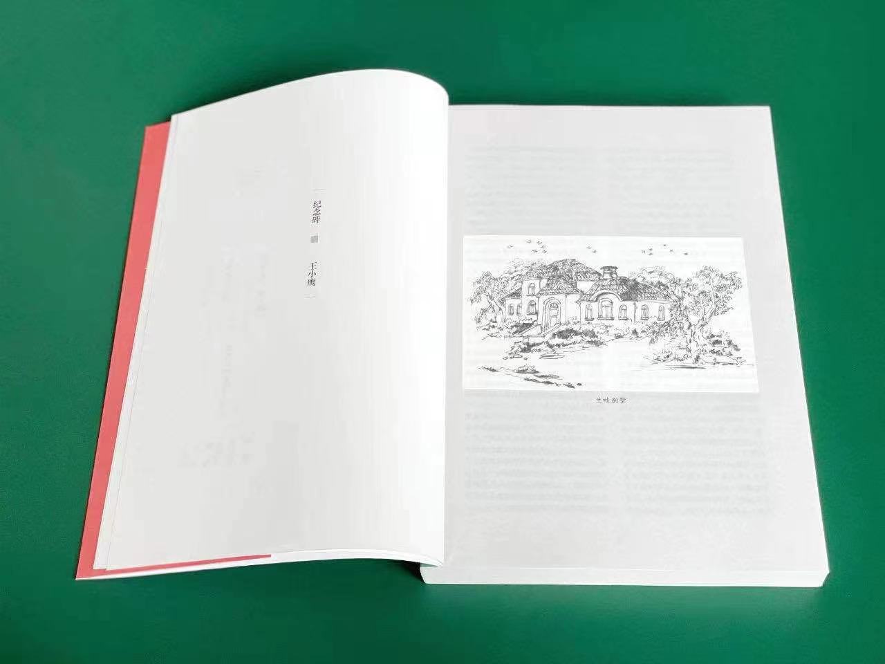 对话王小鹰|《纪念碑》:写出在历史与现实中英勇前行的人