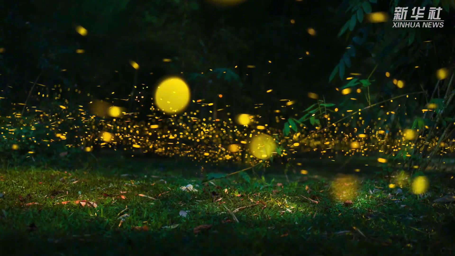 萤火云服务介绍 2025建站系统推荐