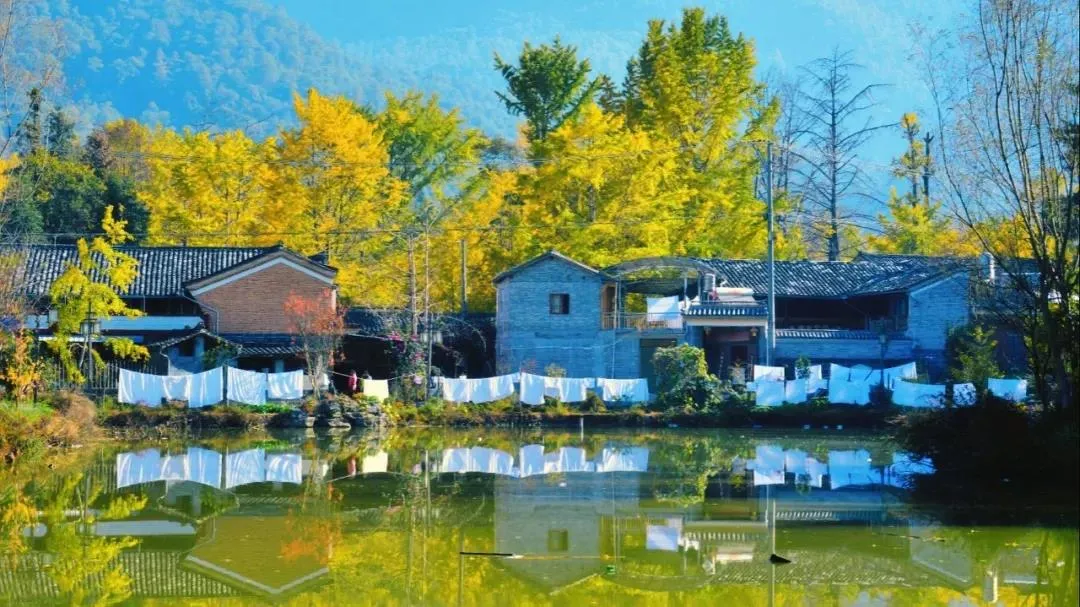 正式授牌!腾冲银杏小镇荣获"云南省特色小镇"