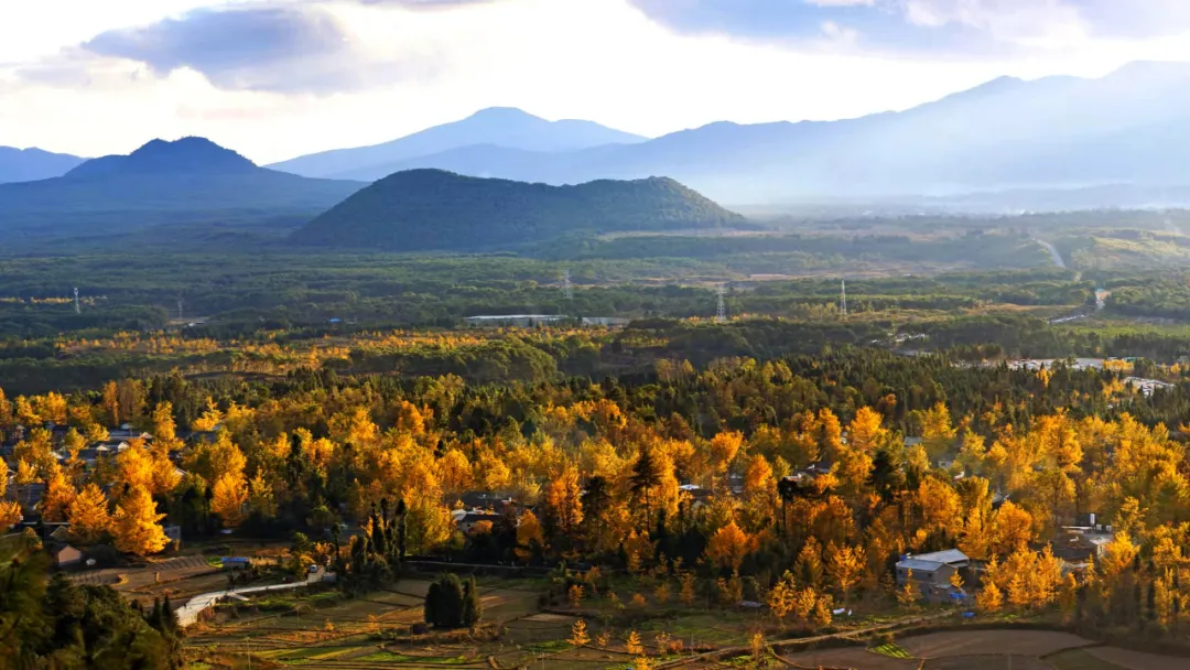 正式授牌!腾冲银杏小镇荣获"云南省特色小镇"