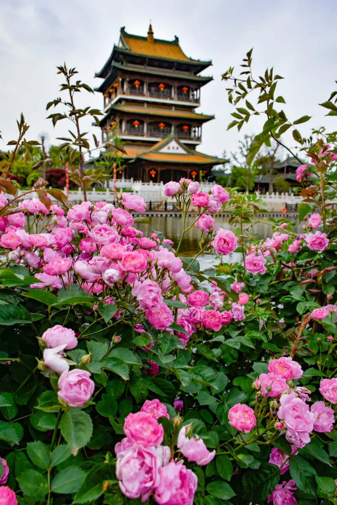 讲解！阿玛拉王国怎么洗点“桃红柳绿”