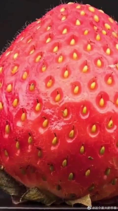 连果肉纤维都快看到了,把草莓放大180倍会是什么样