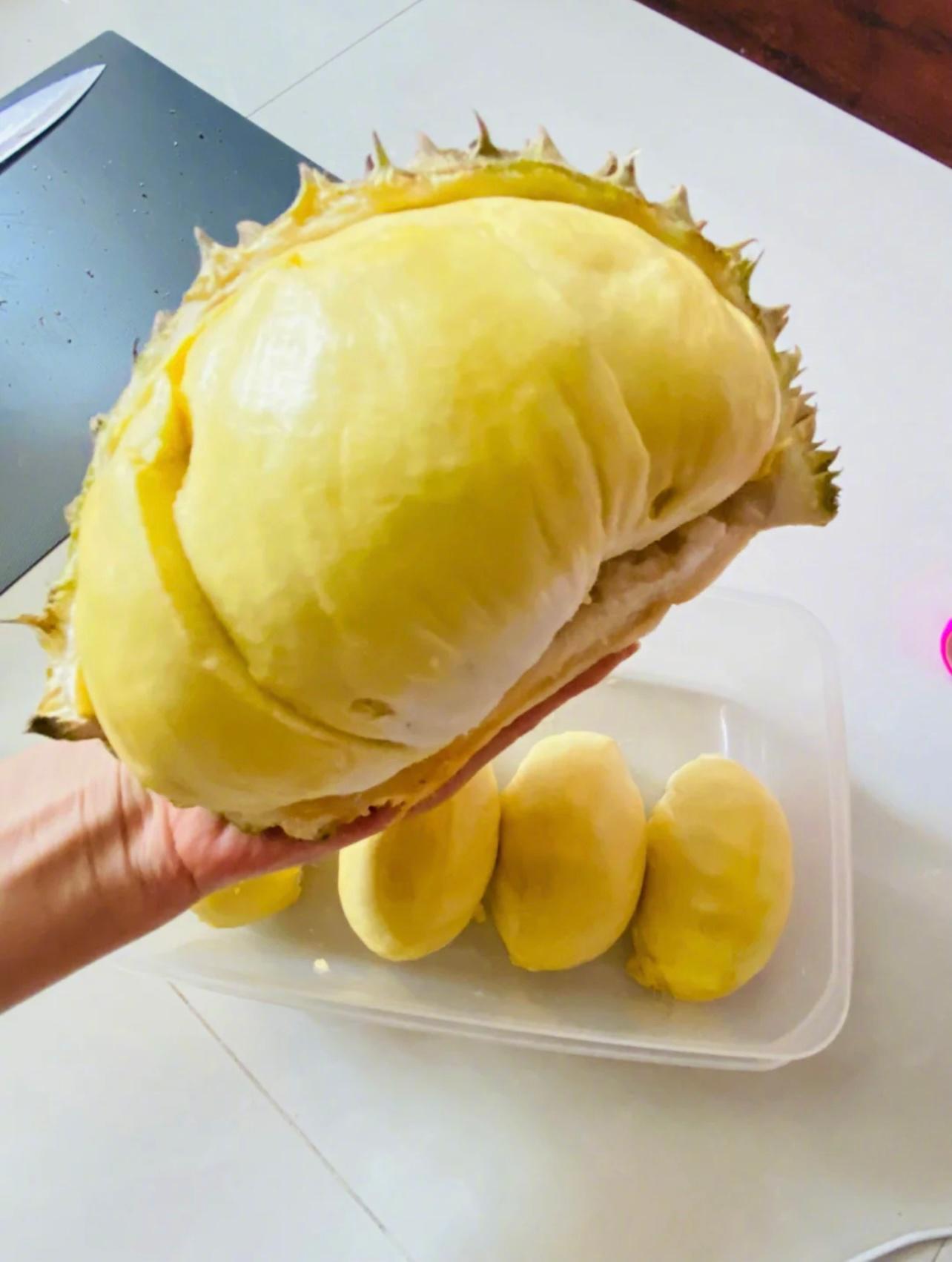 转发这个榴莲,你以后开的每个榴莲都有这么大