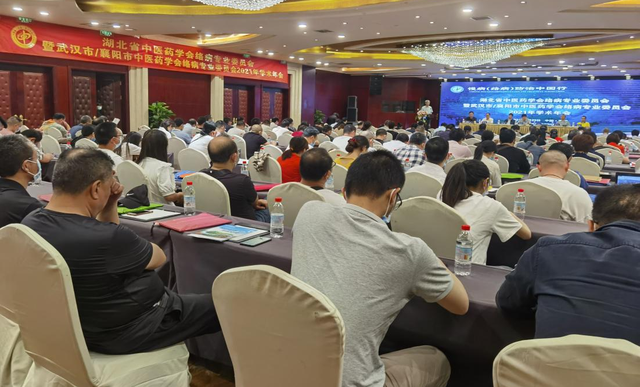 湖北省中医药学会慢病络病防治学术会议在襄阳召开