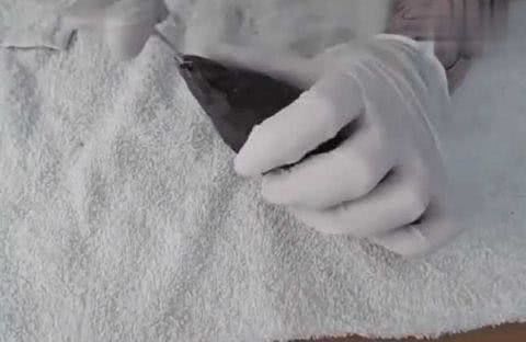 男子海滩上捡到一个丑陋的贝壳，打开瞬间整个人吓坏了休闲区蓝鸢梦想 - Www.slyday.coM