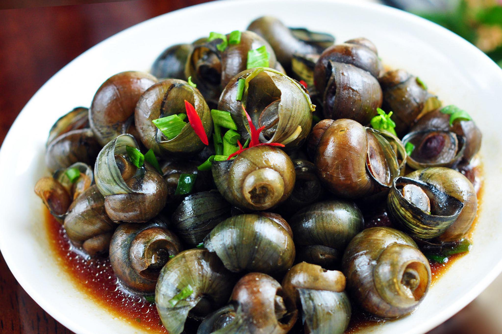 教你田螺的美味做法,简单易做又好吃,午饭吃它准没错