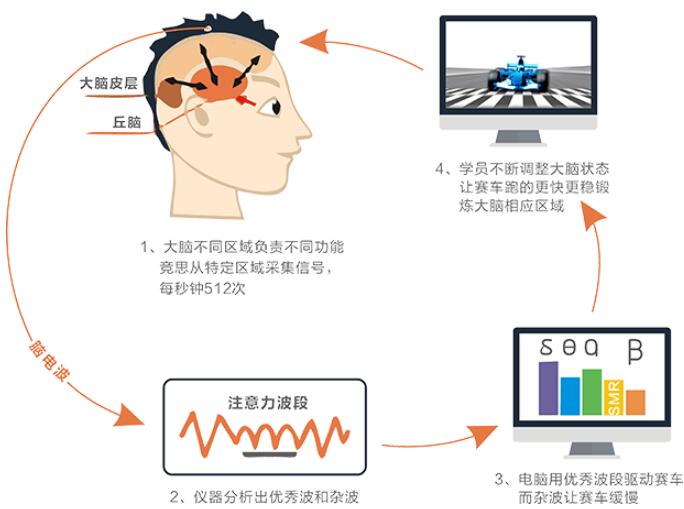 脑电生物反馈训练原理:(3)不服药,绿色安全,让孩子提高注意力,提升