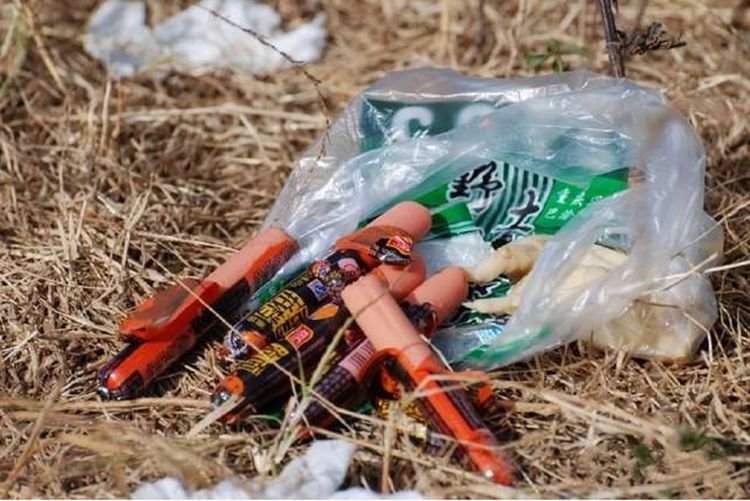 流浪狗幼崽被车碾死，狗妈妈悲伤仰天长啸，画面太让人心酸了休闲区蓝鸢梦想 - Www.slyday.coM