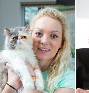 波斯猫怎么样为什么国内养的人这么少呢