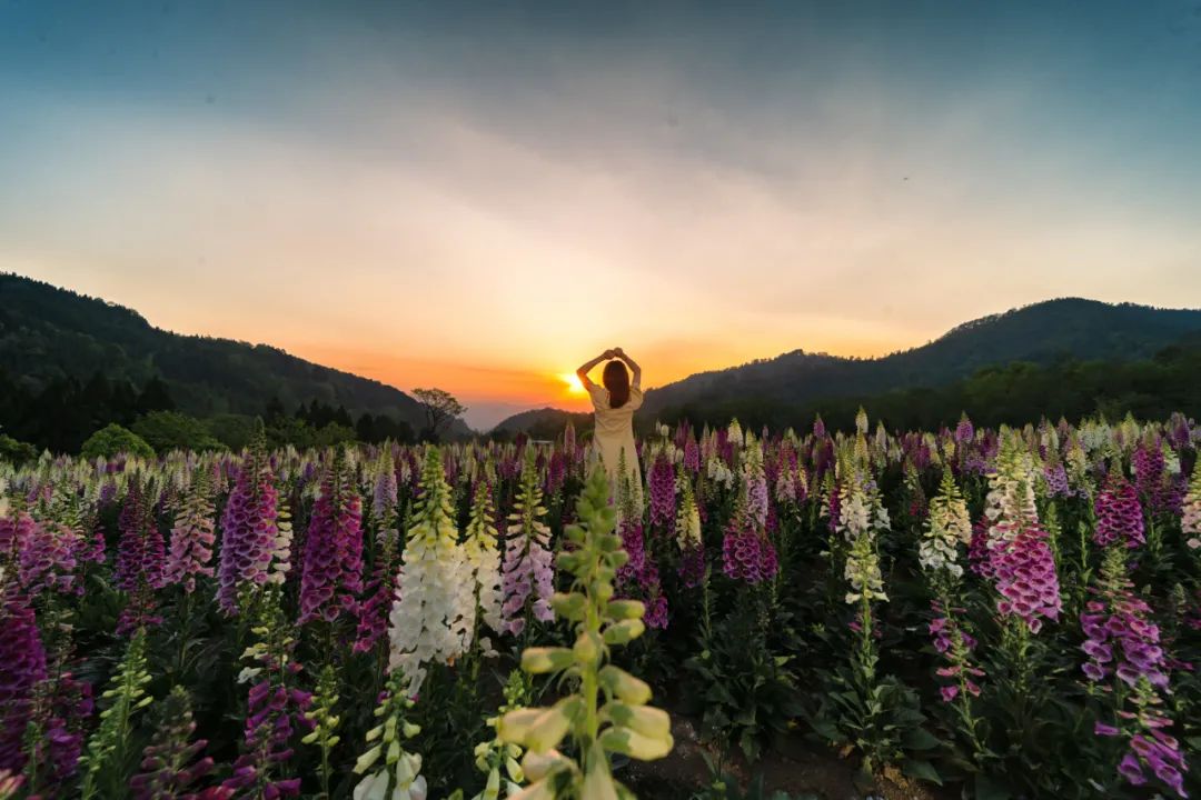 腾冲周边游丨飞跃丛林草地野餐到归云庄解锁夏日的花花世界