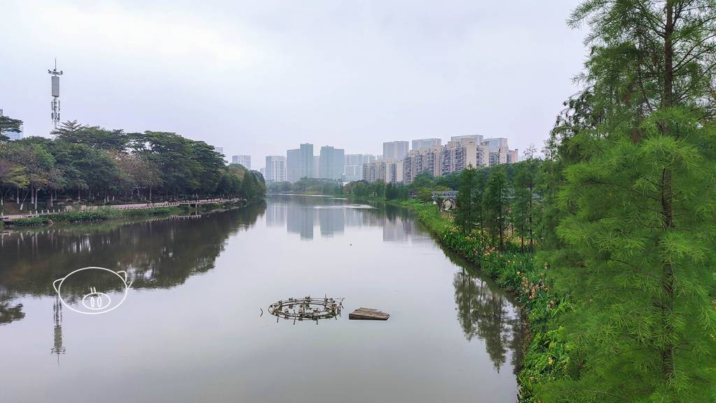 佛山|漫步怡海公园,怡海湖畔一河两岸的河堤公园