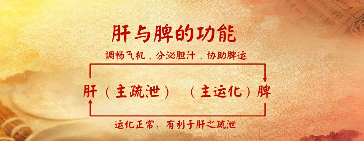 腹胀,胃痛,嗳气?中医一招疏肝健脾,搞定腹胀不再犯