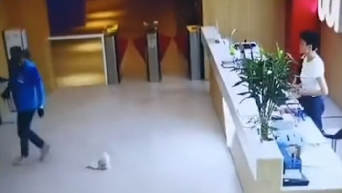 外卖员送餐超时40分钟,送达后将餐扔向女顾客,怒吼:去投诉吧休闲区蓝鸢梦想 - Www.slyday.coM 外卖员送餐超时40分钟,送达后将餐扔向女顾客,怒吼:去投诉吧休闲区蓝鸢梦想 - Www.slyday.coM