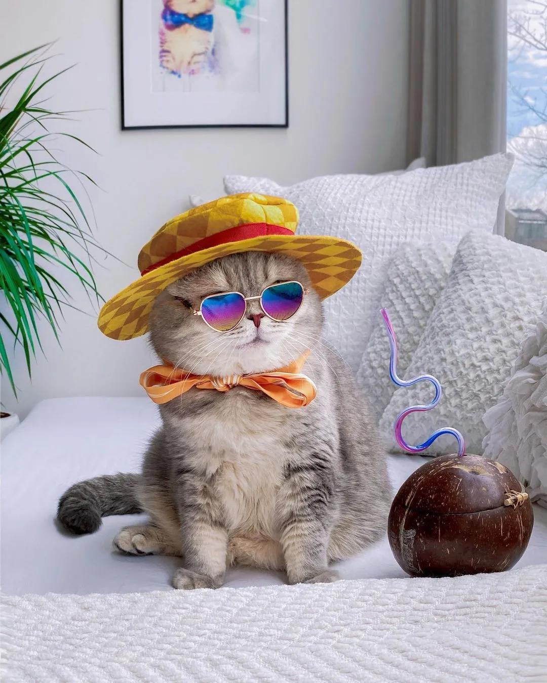 最潮最火的猫咪甜美与帅气的时尚穿搭绝对是整条街最靓的仔