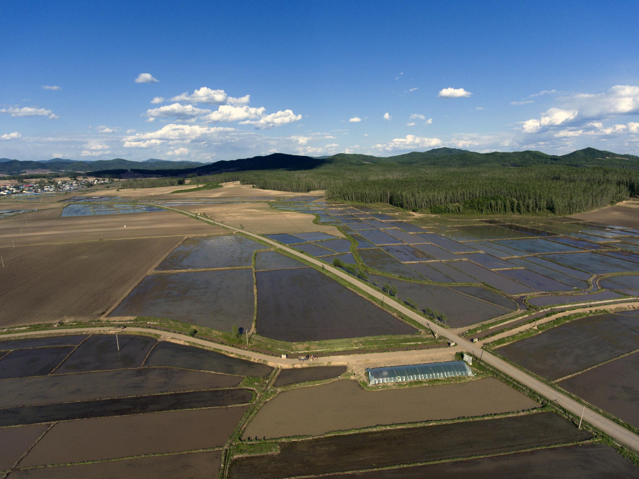 从"暴风骤雨"到乡村振兴,黑土地上的工作队
