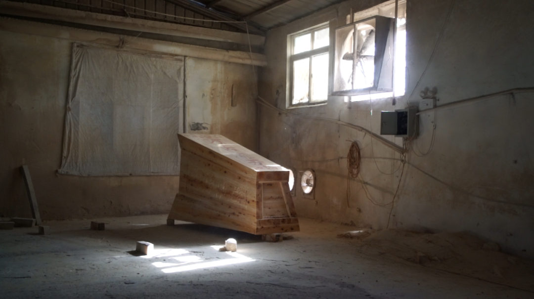 走出棺材厂,一大片金黄的麦田出现在我们眼前.