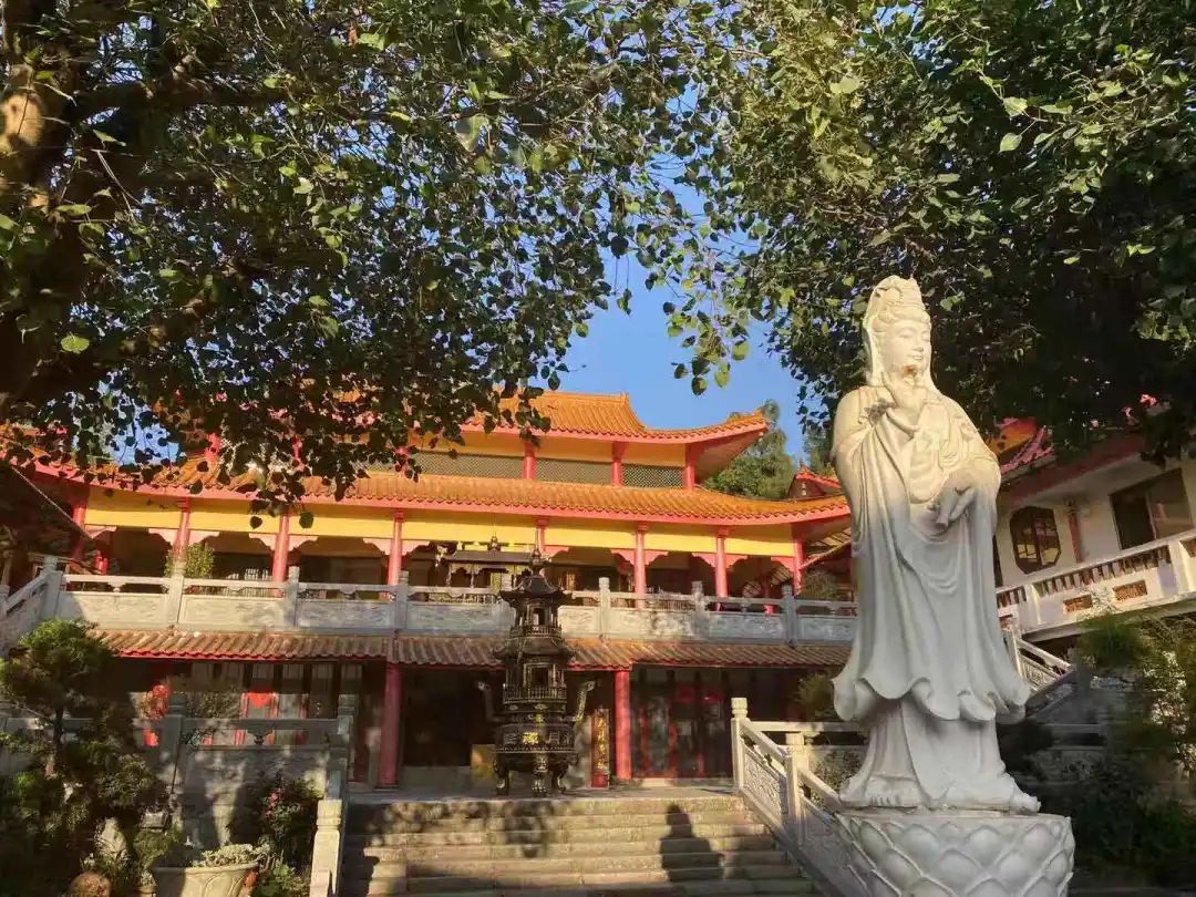 全国创建和谐寺观教堂先进集体巡礼之水月庵|南宁市_新浪新闻