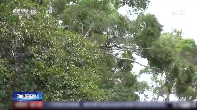 联合国环境规划署官员：气候变化已威胁到粮食安全领域
