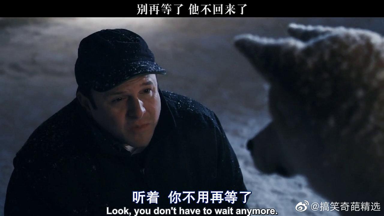 别再等了,他不会回来了 忠犬八公的故事