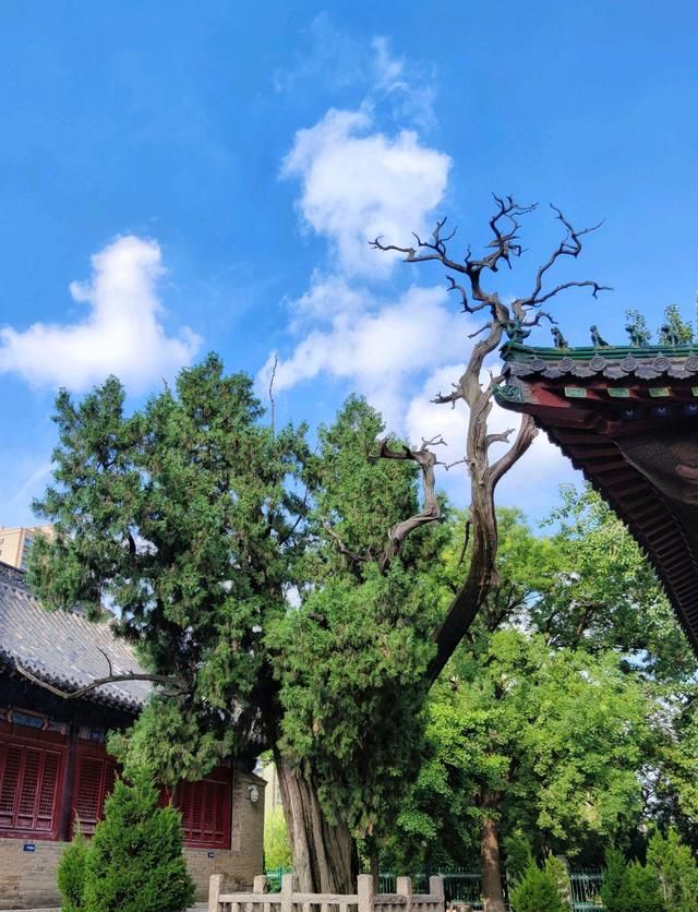 济南有一座"袖珍"寺院,拥有皇家才有的建筑规格,原因成谜|兴福寺|后殿