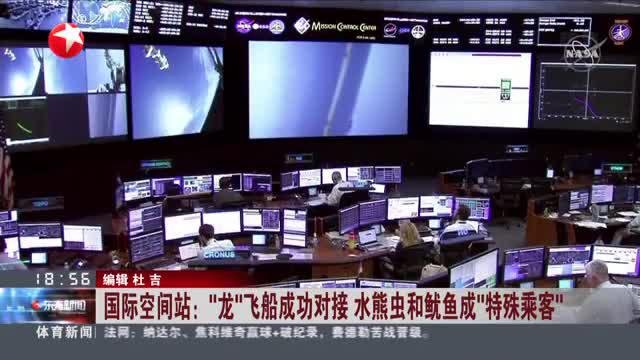 国际空间站：“龙”飞船成功对接  水熊虫和鱿鱼成“特殊乘客”