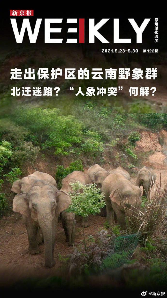 云南15头野象移动至玉溪市易门县，当地发布防范预警公告休闲区蓝鸢梦想 - Www.slyday.coM