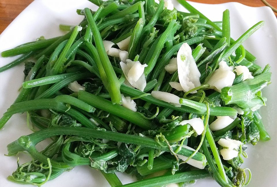 1斤,硒元素含量高,排出毒素,增强免疫抗癌|抗癌|丝瓜|硒元素_新浪新闻