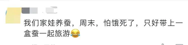 当代家长养蚕图鉴：10条蚕宝2500，全城桑树被薅秃？爸妈崩溃：我的软体动物恐惧症都被治好了！！！休闲区蓝鸢梦想 - Www.slyday.coM