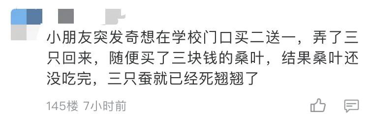 当代家长养蚕图鉴：10条蚕宝2500，全城桑树被薅秃？爸妈崩溃：我的软体动物恐惧症都被治好了！！！休闲区蓝鸢梦想 - Www.slyday.coM