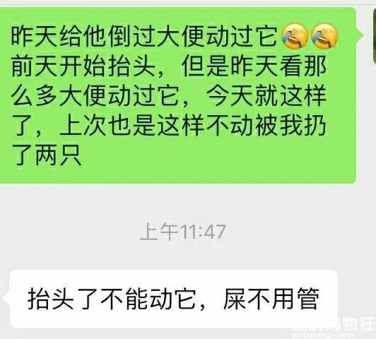 当代家长养蚕图鉴：10条蚕宝2500，全城桑树被薅秃？爸妈崩溃：我的软体动物恐惧症都被治好了！！！休闲区蓝鸢梦想 - Www.slyday.coM